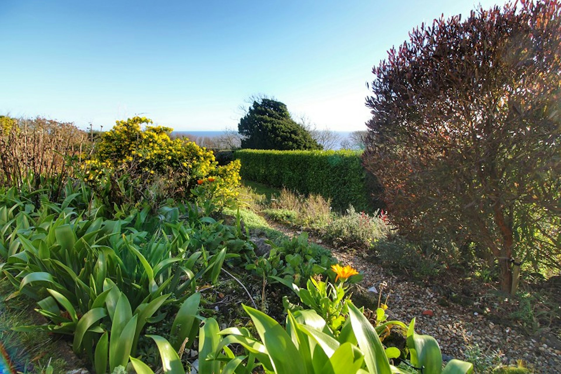 Property PRA11783 image 31