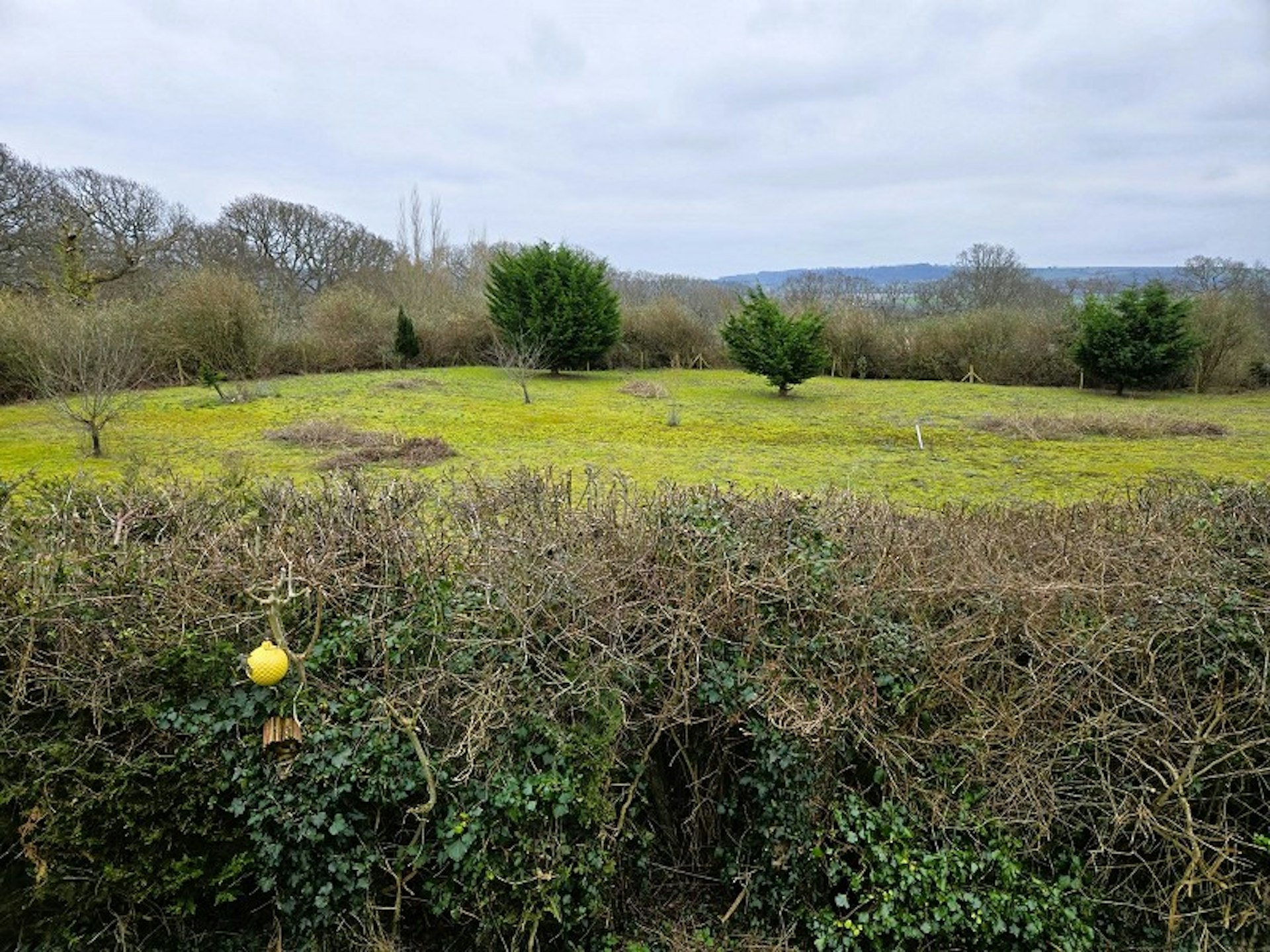 Property PRA11788 image 3